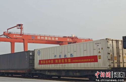 河南优质农产品首次搭乘中老铁路班列直抵东盟 货物运输的里程碑与未来潜力